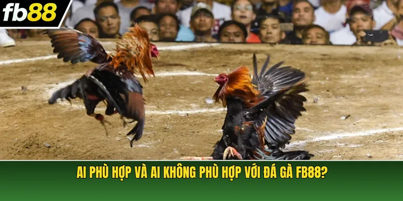 Ai phù hợp và ai không phù hợp với đá gà FB88?