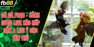 Đá Gà FB88 – Sảnh Cược Live Kèo Hấp Dẫn & Lưu Ý Cho Tân Thủ