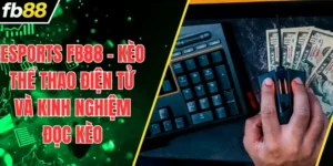 Esports FB88 – Kèo Thể Thao Điện Tử Và Kinh Nghiệm Đọc Kèo