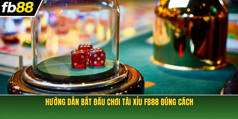 Hướng dẫn bắt đầu chơi Tài Xỉu FB88 đúng cách