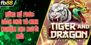Rồng Hổ FB88 Cách Chơi Và Kinh Nghiệm Cho Người Mới