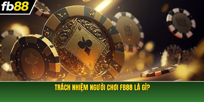 Trách nhiệm người chơi FB88 là gì?