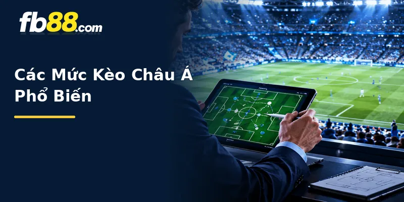 Các Mức Kèo Châu Á Phổ Biến
