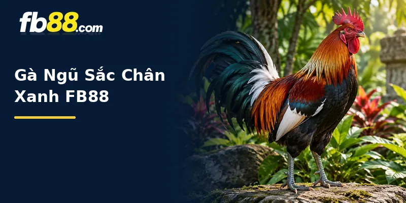 Tổng quan về gà ngũ sắc chân xanh