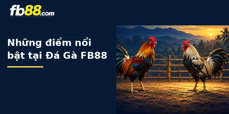 Những điểm nổi bật tại Đá Gà FB88
