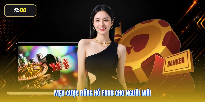 Mẹo Cược Rồng Hổ FB88 Cho Người Mới
